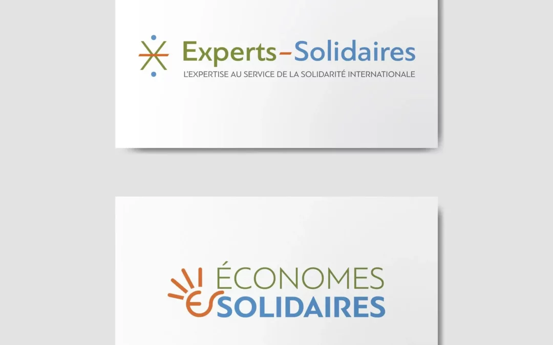 Experts Solidaires – Identité visuelle, Motion design, Webdesign