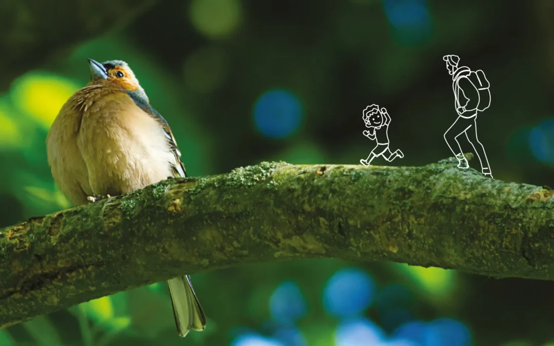 Crédit agricole – Affiches & plaquette